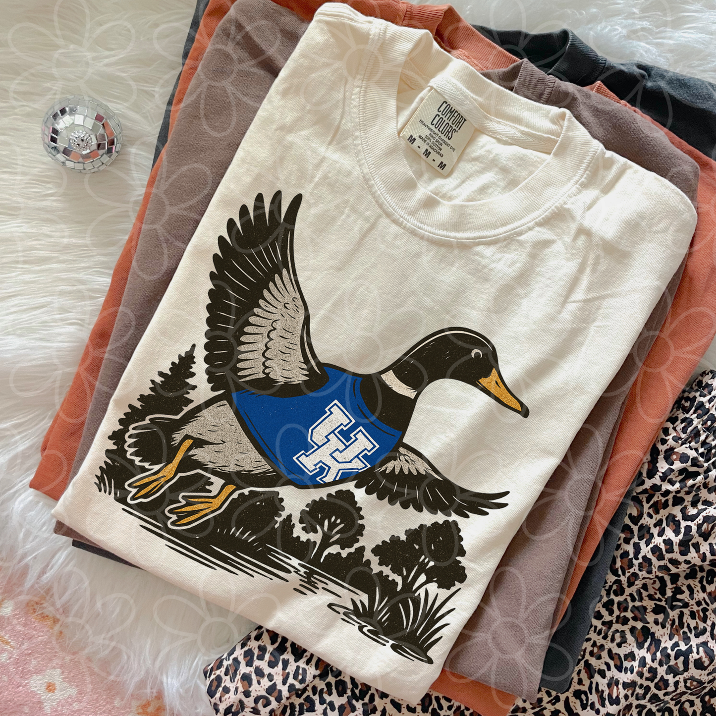 Duck Sports Teams (Multiple Options) DTF Transfer