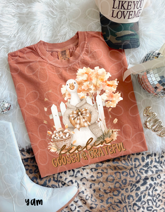 Feelin Goosey & Grateful Kids Completed Tee
