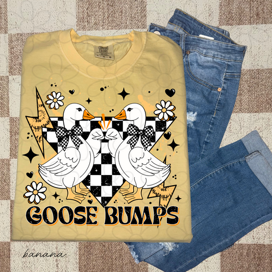 Goose Bumps Checkered Completed Tee