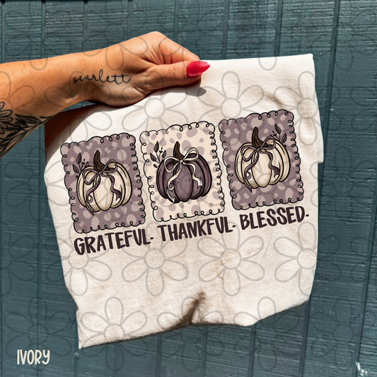 Grateful Thankful Blessed Pumpkins DTF Transfer