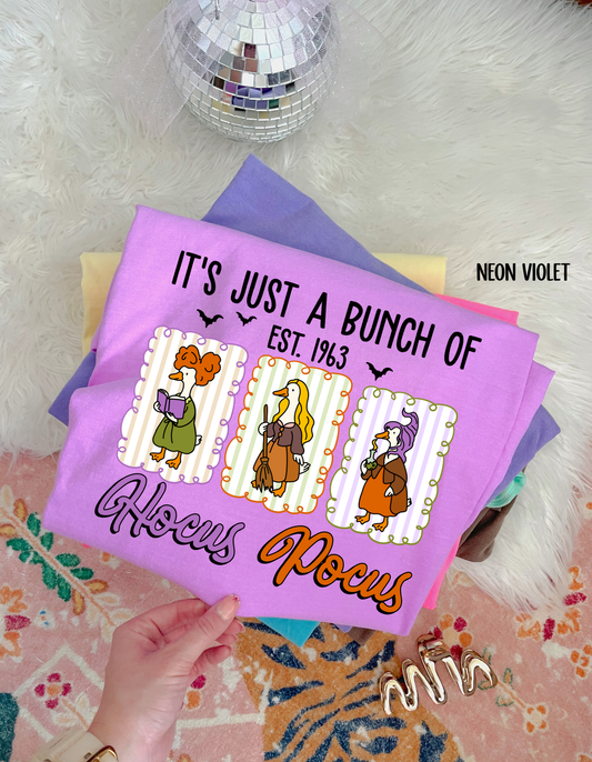 Hocus Pocus Geese Kids Completed Tee