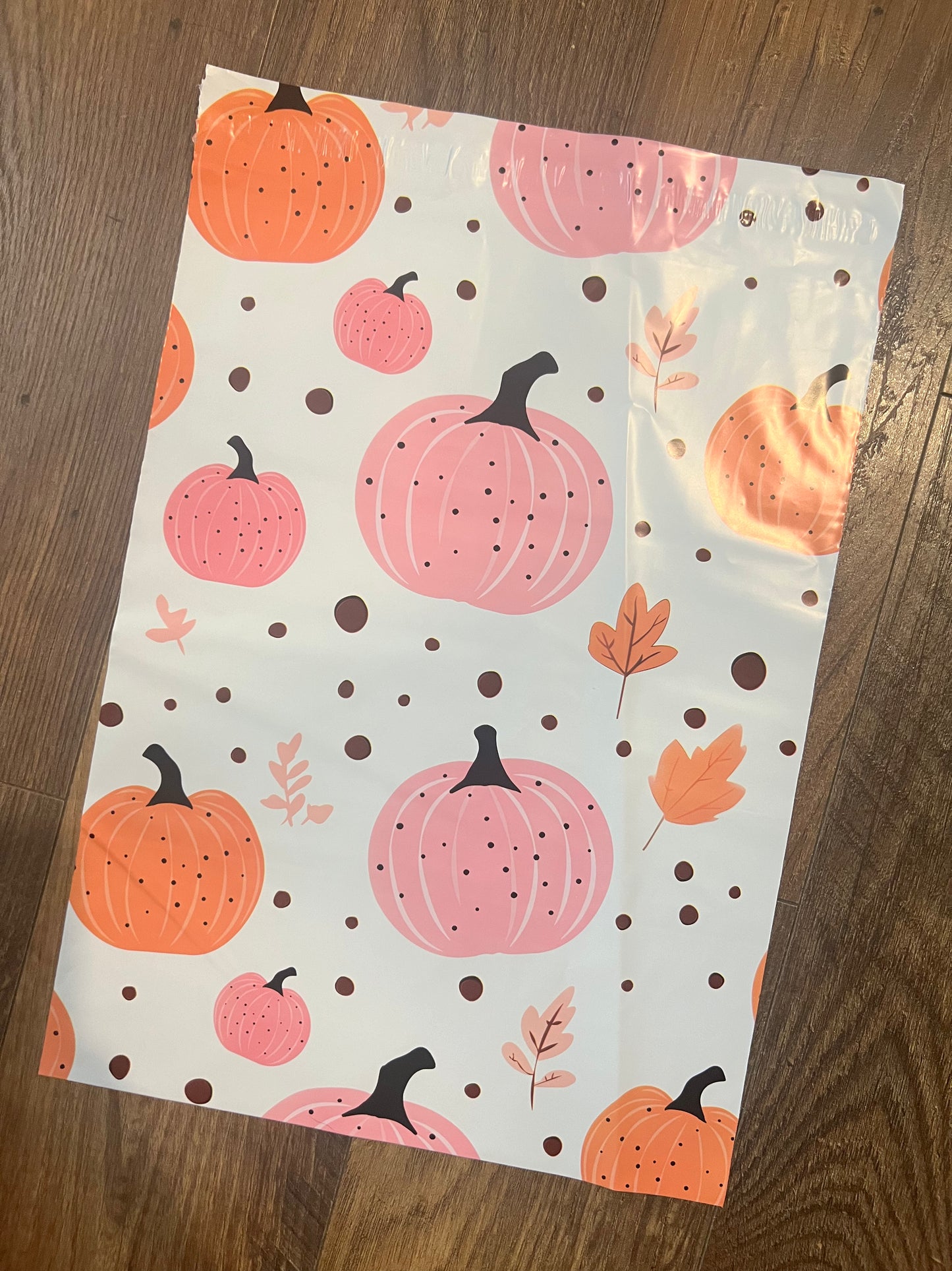 Pumpkin π Poly Mailer
