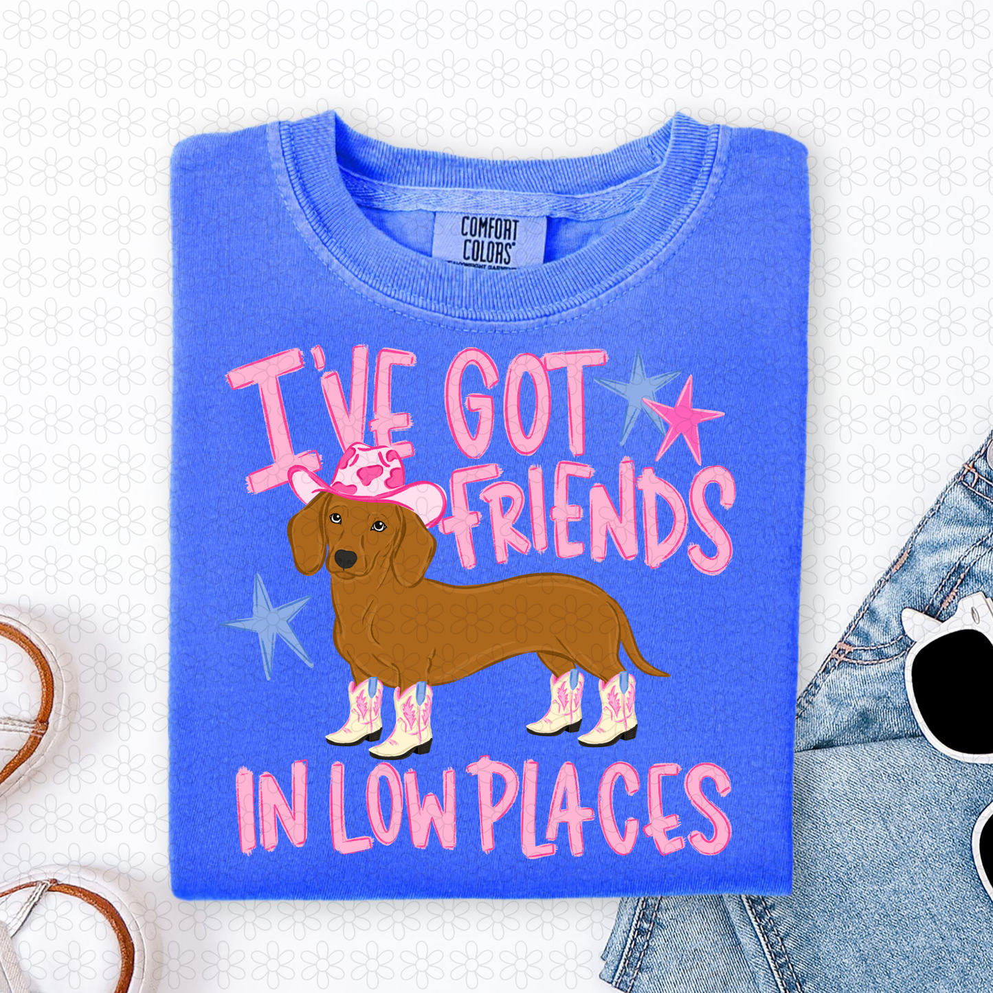 I've Got Friends In Low Places Dog DTF Transfer