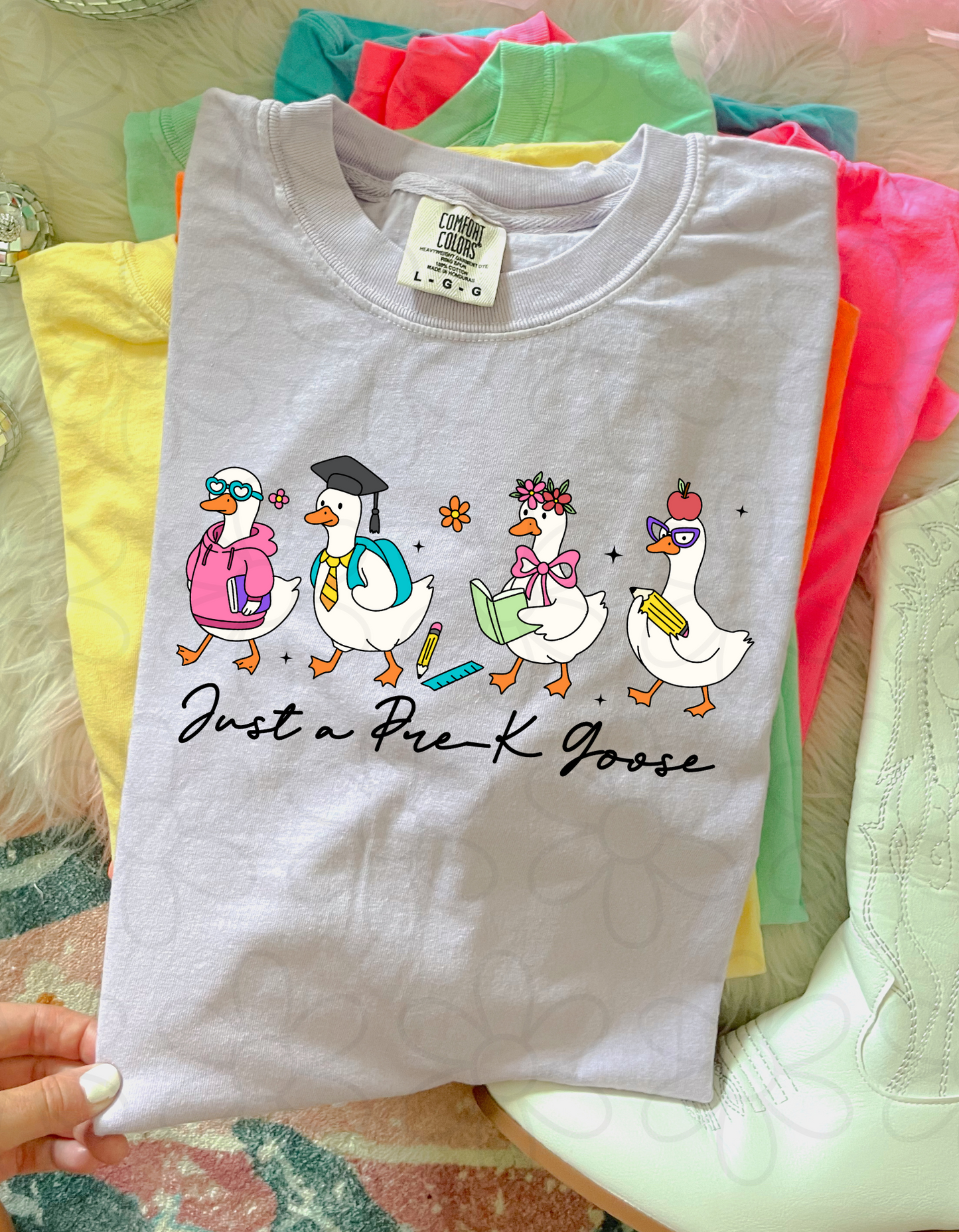 Just A School Grade Goose (Multiple Options) Kids Completed Tee