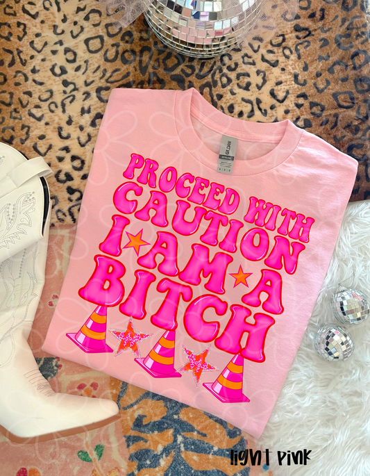 Proceed With Caution I Am A Bitch DTF Transfer