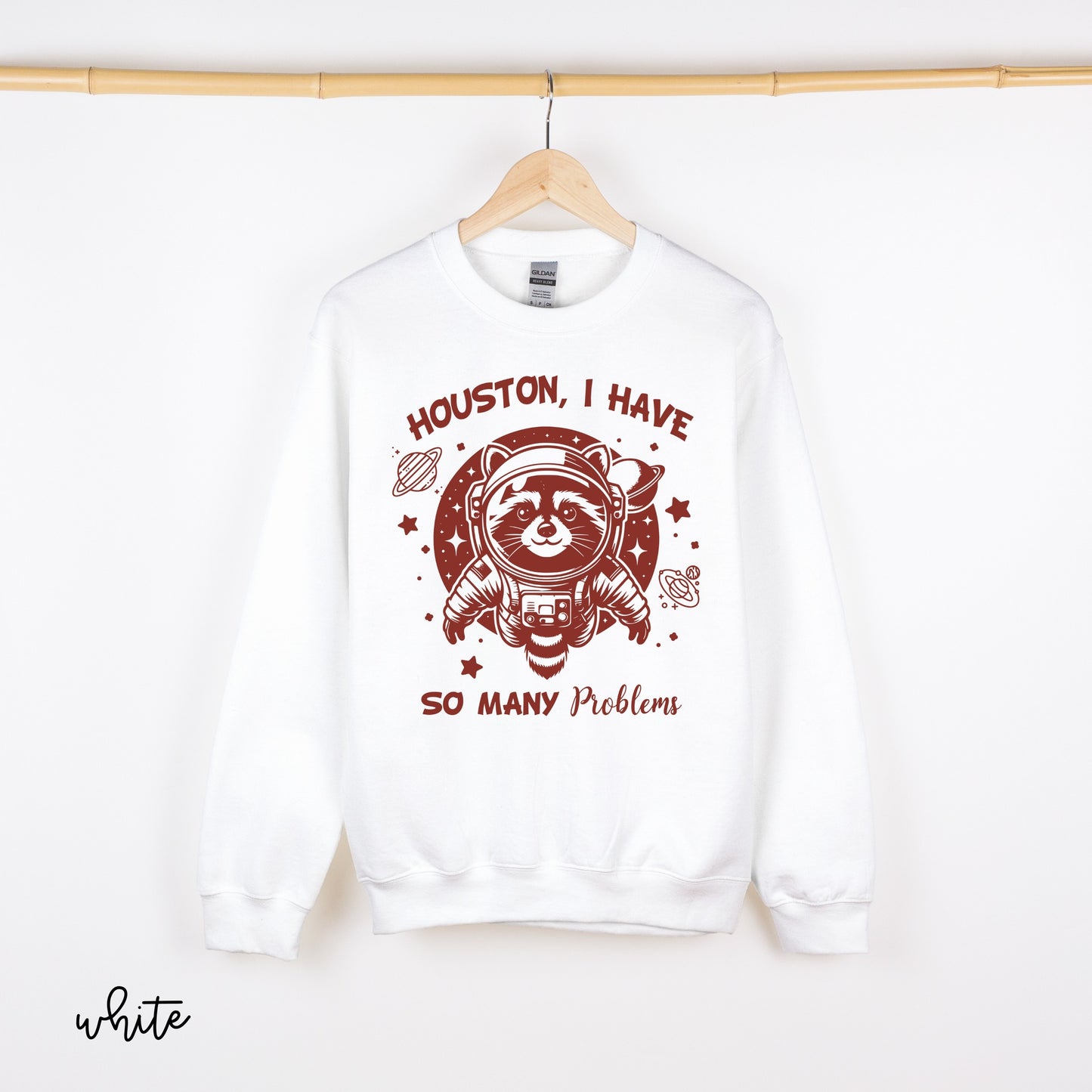 Houston I Have So Many Problems DTF Transfer