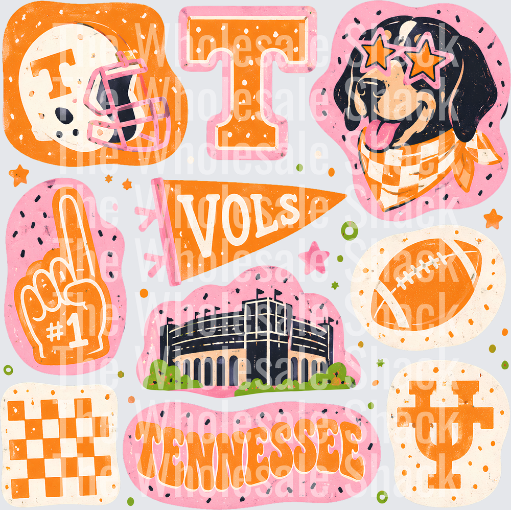 Colorful Vols DTF Transfers