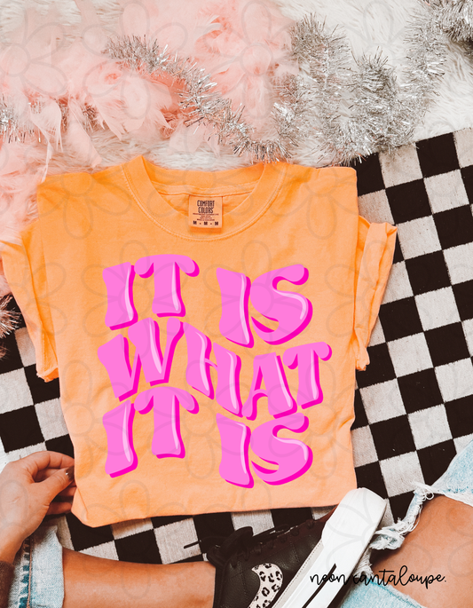 It Is What It Is Completed Tee