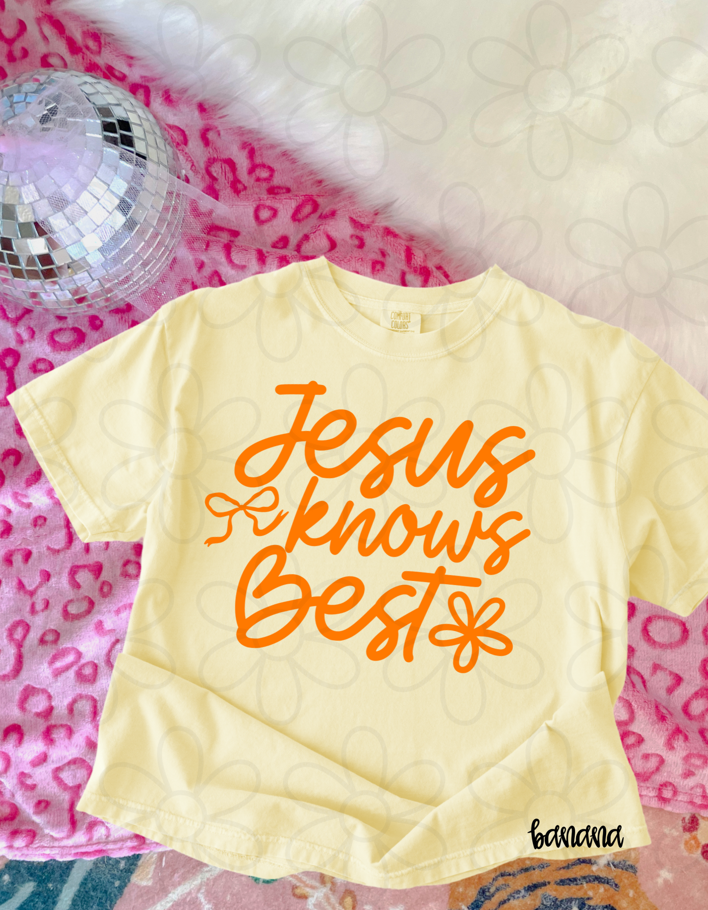 Jesus Knows Best (Multiple Color Options) DTF Transfer