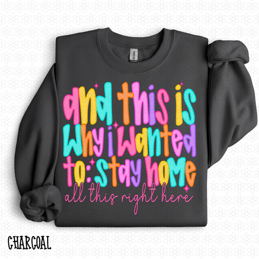 And This Is Why I Wanted To Stay Home DTF Transfer