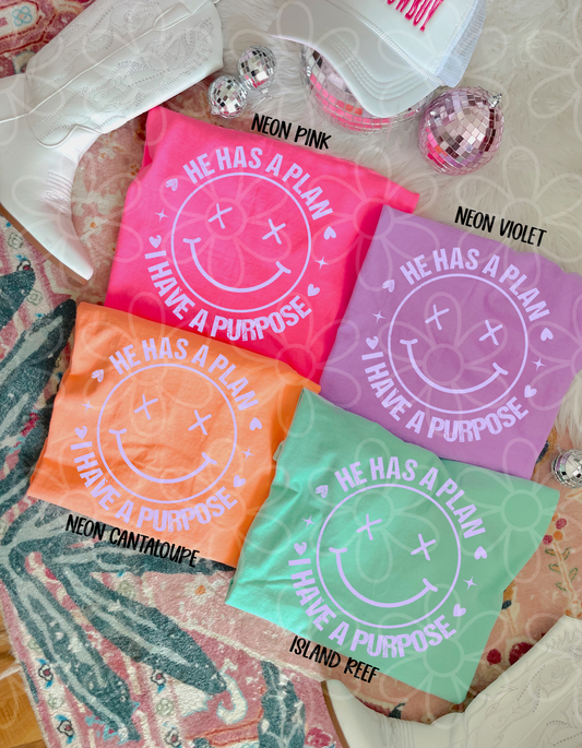 He Has A Plan I Have A Purpose Smiley (Multiple Options) Completed Tee