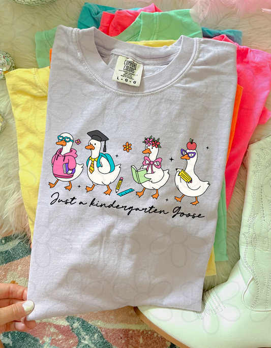 Just A School Grade Goose (Multiple Options) DTF Transfer