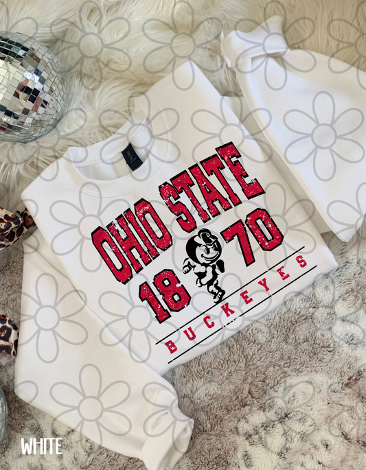 Distressed Sports Team Years (Multiple Options) DTF Transfer