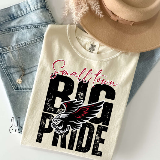 Small town Big Pride all black Completed