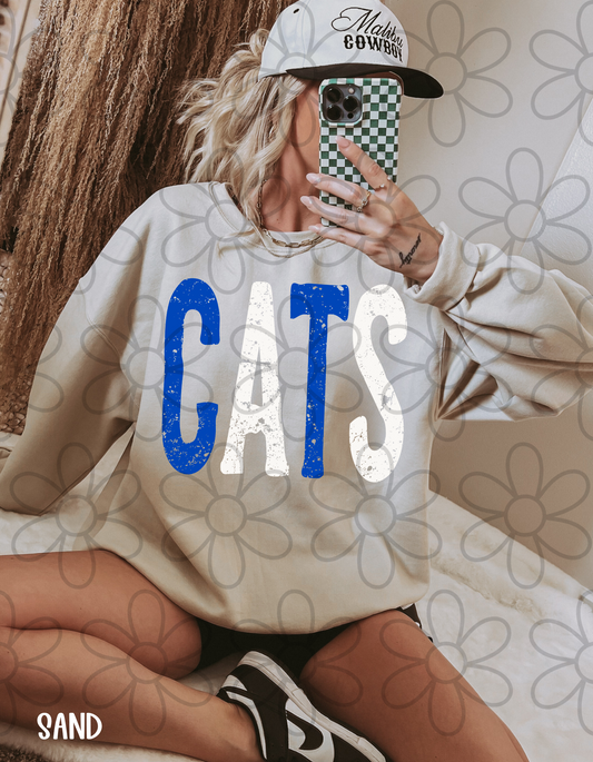 Distressed Sports Teams (Multiple Options) Completed Tee