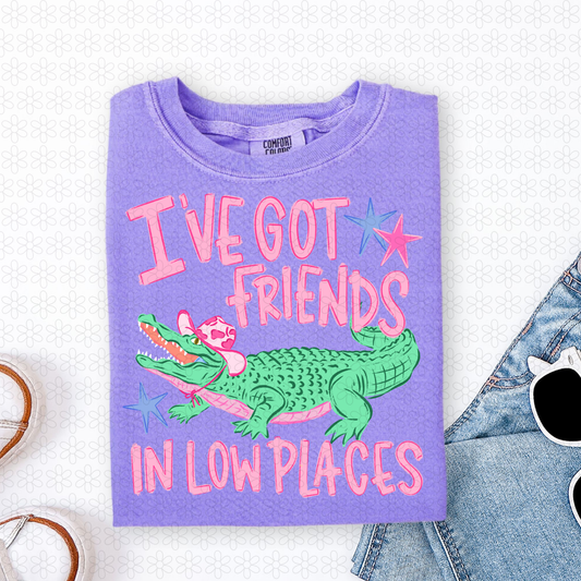I've Got Friends In Low Places Completed Tee