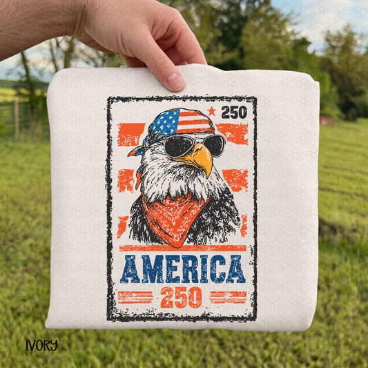 America Bird DTF Transfer