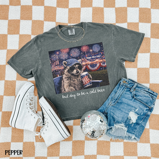 Bad Day To Be A Cold Beer Raccoon - White Font DTF Transfer