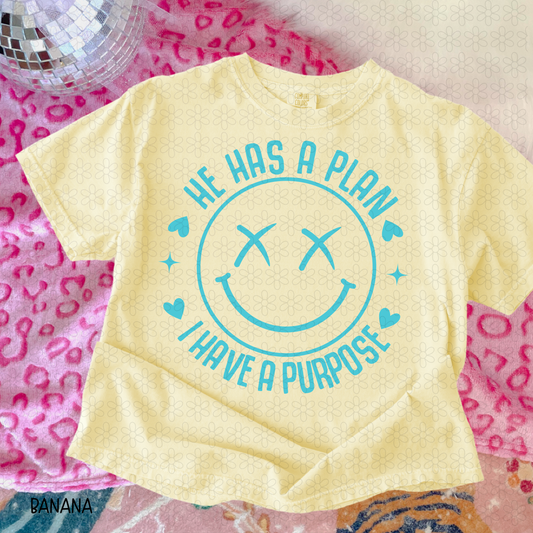 He Has A Plan I have a Purpose (Multiple Colors) Completed Tee