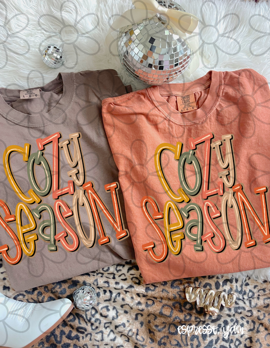 Cozy Season Completed Tee