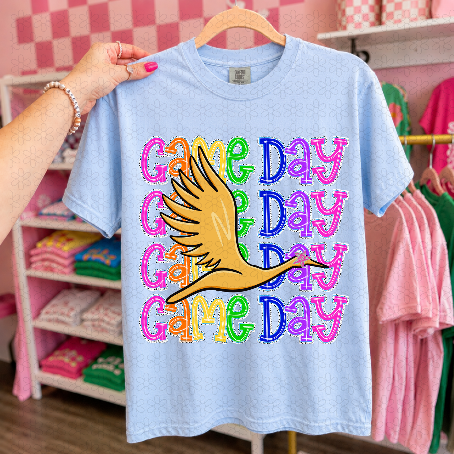 Preppy Game Day Mascots (Multiple Options) DTF Transfer