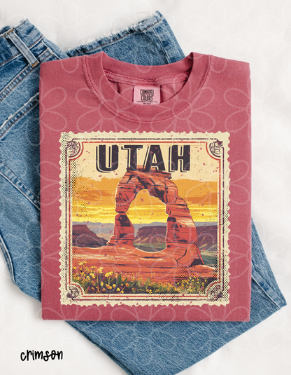 Distressed States - Multiple Options Kids Completed Tee