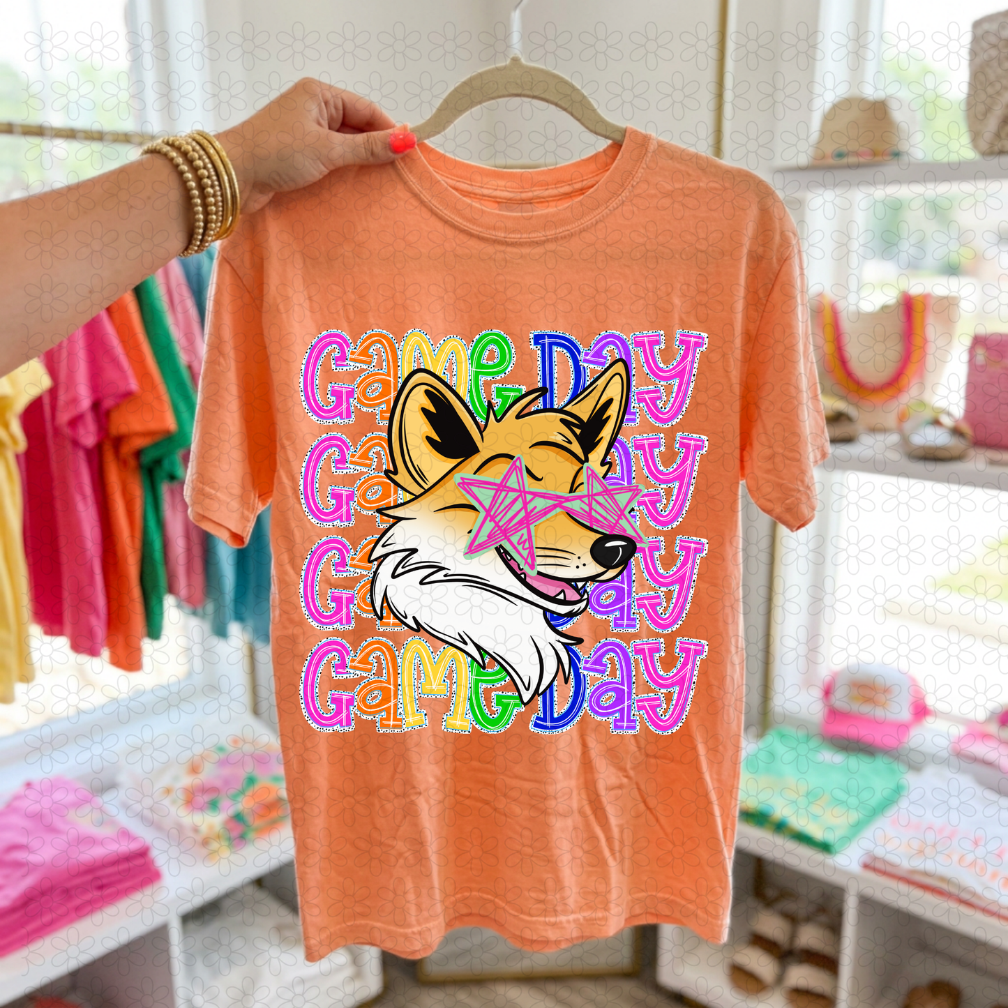 Preppy Game Day Mascots (Multiple Options) DTF Transfer