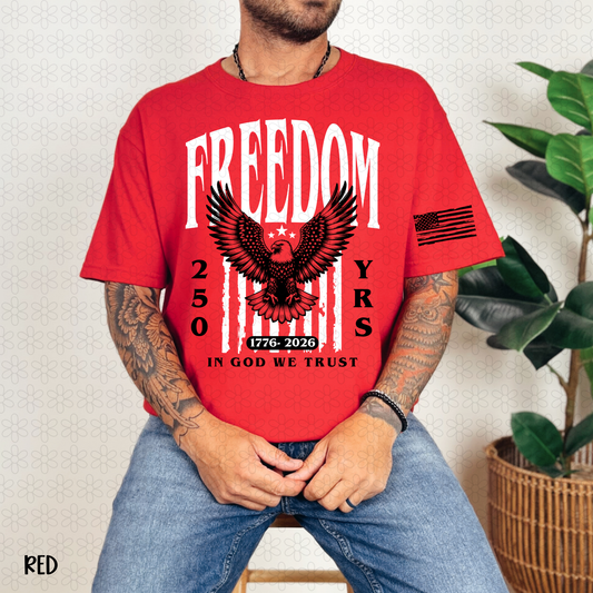 Freedom American flag Black Completed Tee