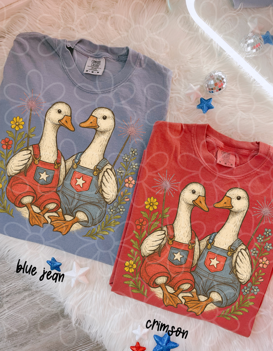 Geese Sparklers Completed Tee