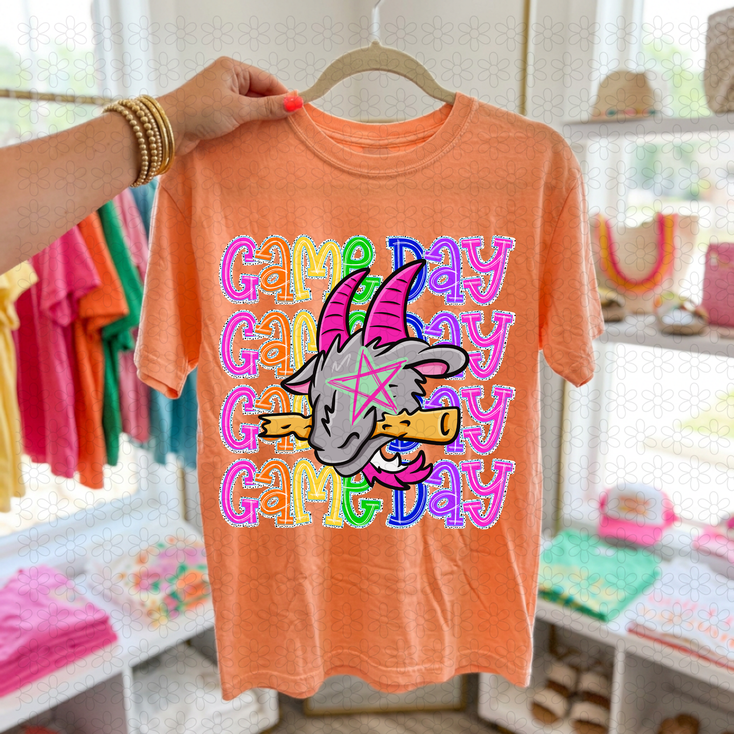 Preppy Game Day Mascots (Multiple Options) DTF Transfer