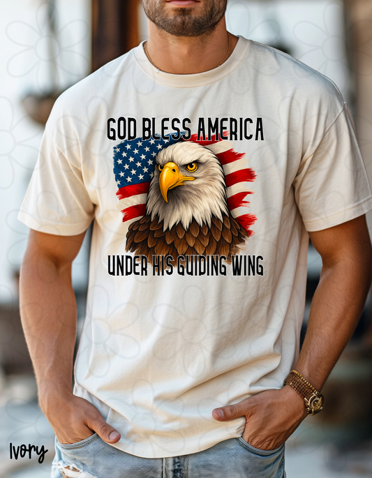 God Bless America Under His Guiding Wing DTF Transfer