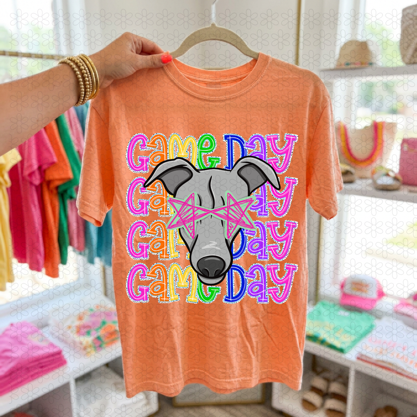 Preppy Game Day Mascots (Multiple Options) DTF Transfer