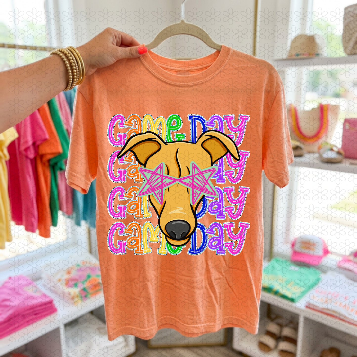 Preppy Game Day Mascots (Multiple Options) DTF Transfer