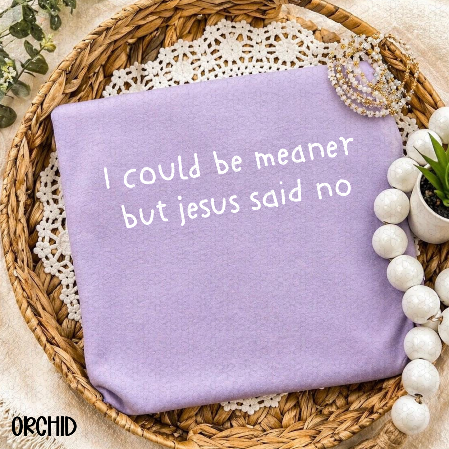 I could be Meaner But jesus said no (Multiple Color Options) Completed Tee