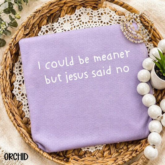 I could be Meaner But jesus said no (Multiple Color Options) Completed Tee