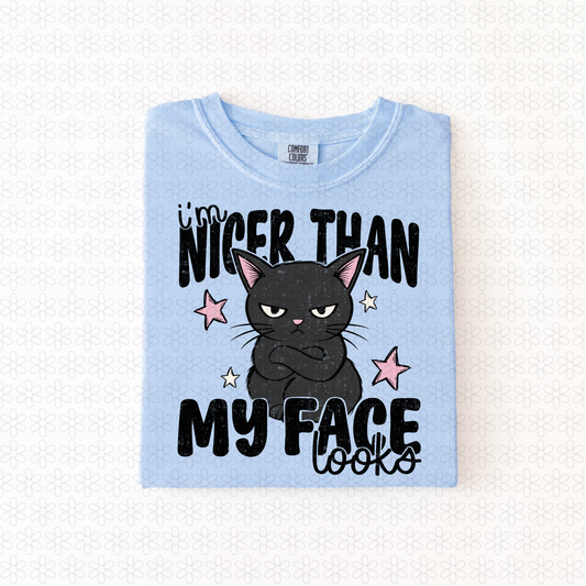 I'm Nicer Than My Face Looks Completed Tee