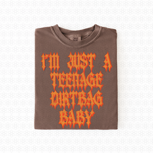 I'm just a teenage dirtbag baby Completed Tee