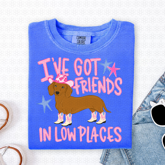 I've Got Friends In Low Places Dog Completed Tee
