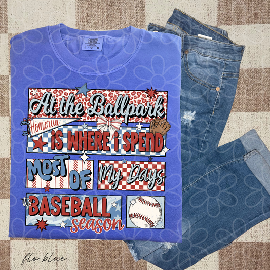 It's Baseball Season Completed Tee