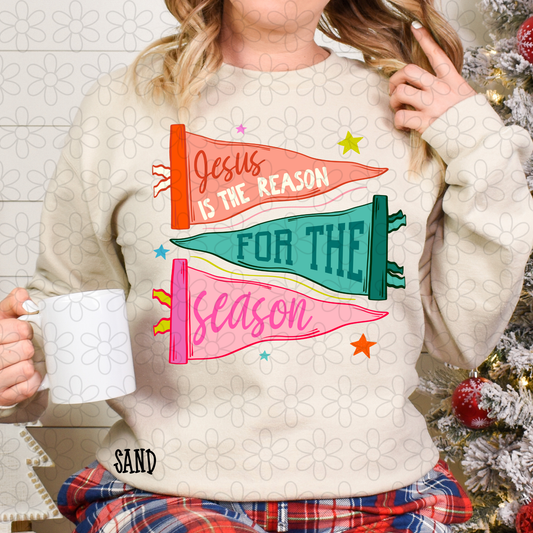 Jesus Is The Reason For The Season Flags Completed Tee