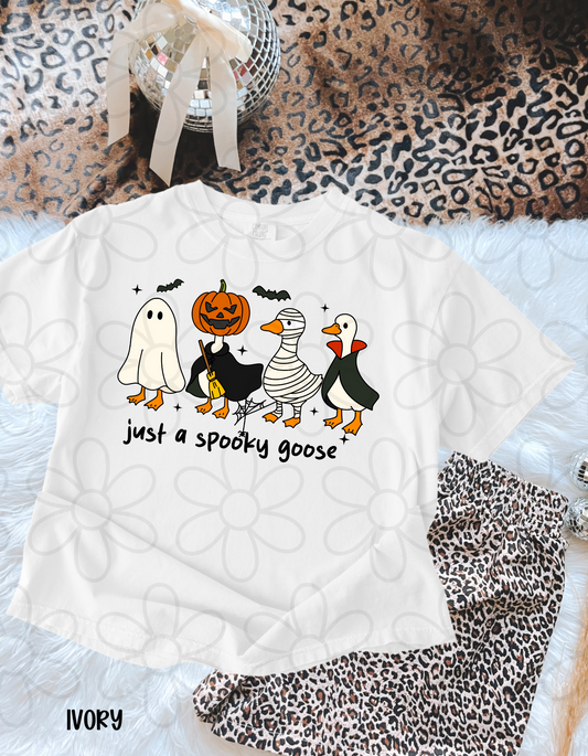 Just A Spooky Goose DTF Transfer