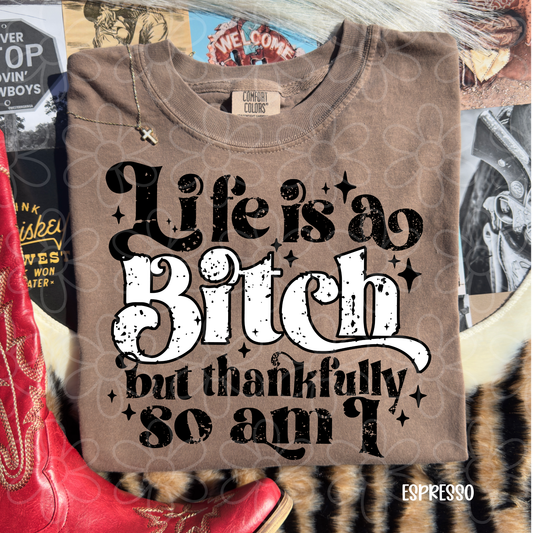 Life Is A Bitch But Thankfully So Am I DTF Transfer