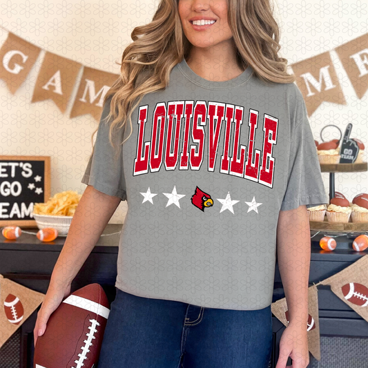 Distressed Teams (Multiple Options) Completed Tee