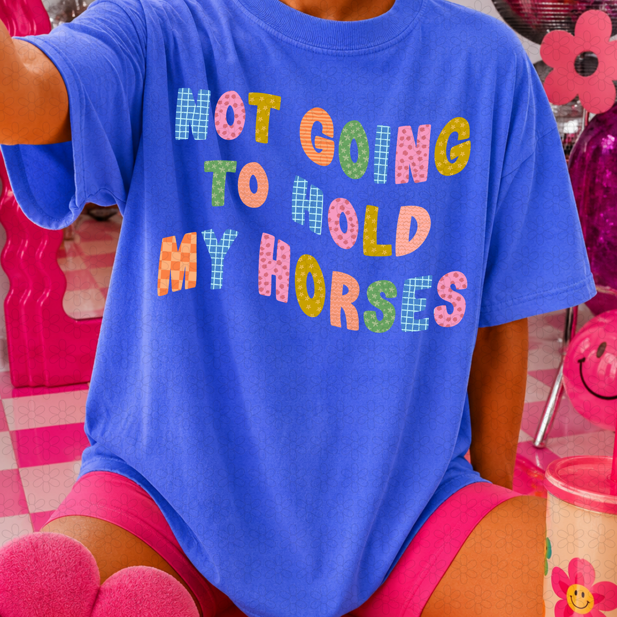Not Going to told My Horses  DTF Transfer
