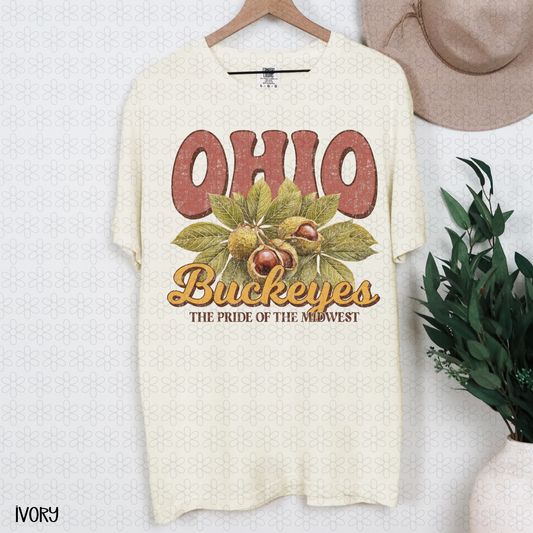 Ohio Buckeyes Completed Tee