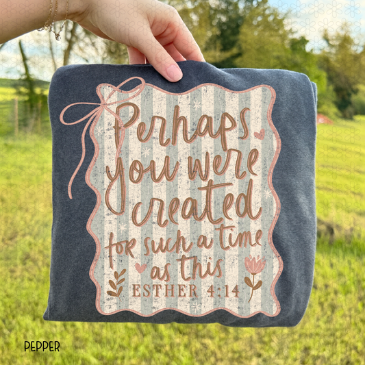 Perhaps You Were Created DTF Transfer