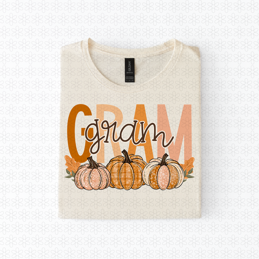Pumpkin Trio MULTIPLE OPTIONS ONLY- NO CUSTOMS Completed Tee