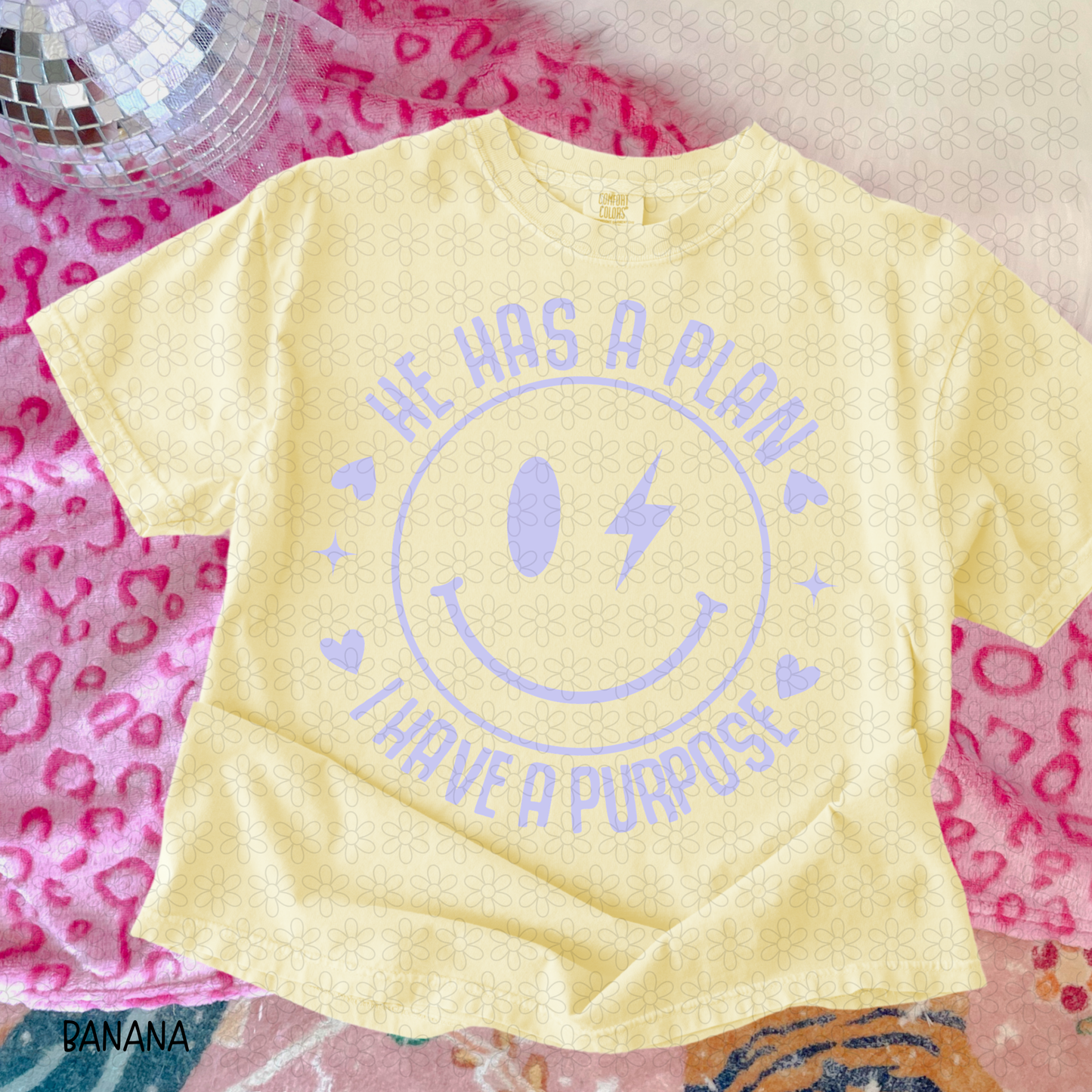 He Has A Plan I have a Purpose (Multiple Colors) DTF Transfer