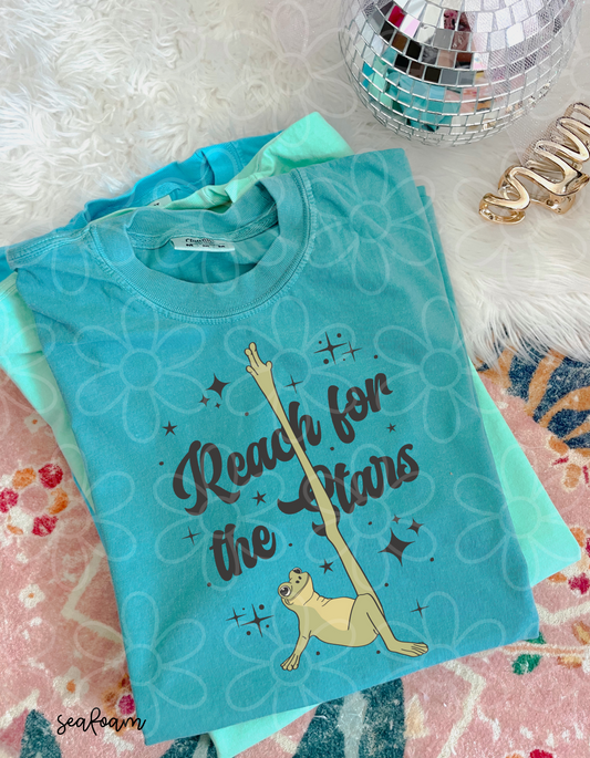 Reach For The Stars Completed Tee