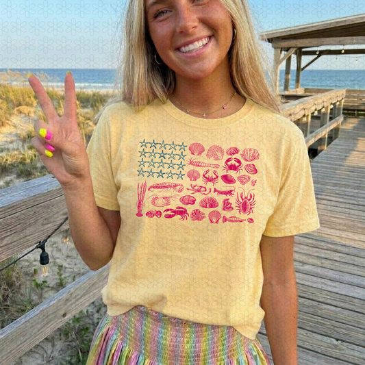 SEASHELL USA FLAG DTF Transfer